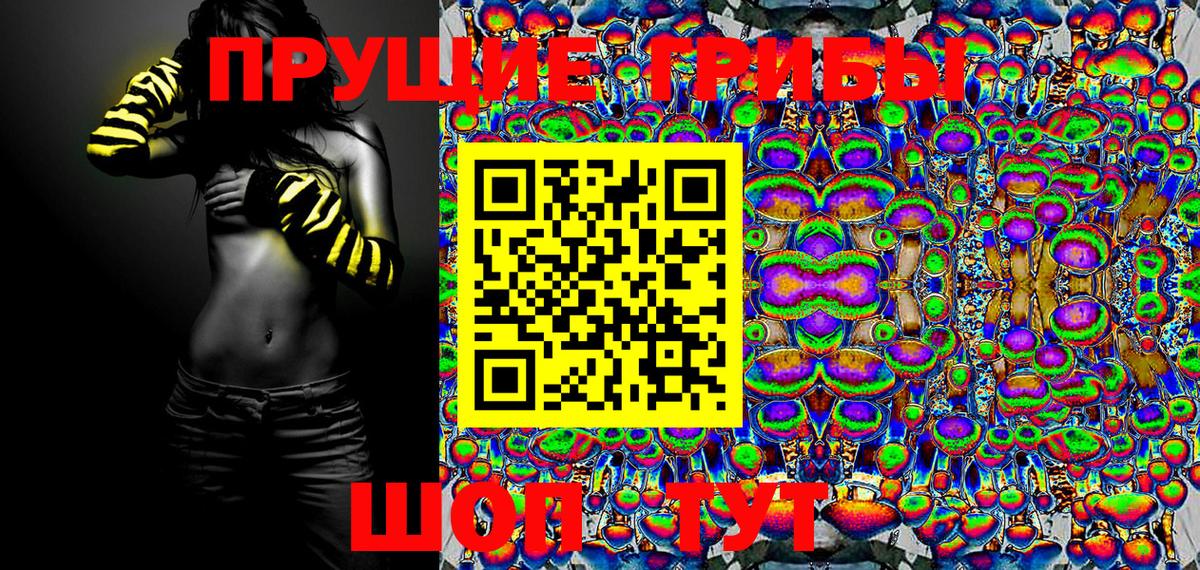 Реутов  Галлюциногенные грибы Psilocybe  Вход с VPN 